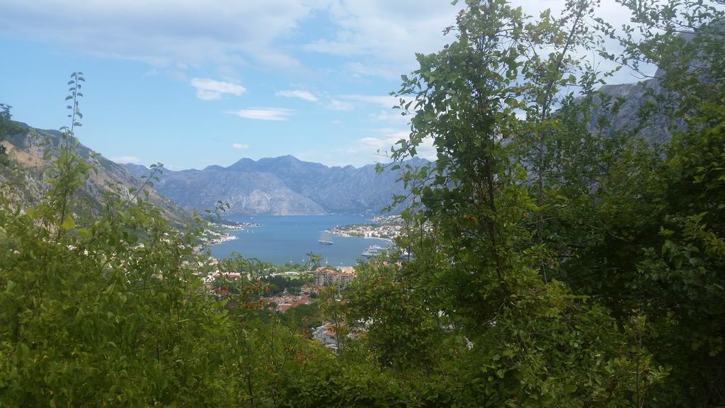 Apartments Panoramic Paradise Kotor Eksteriør billede